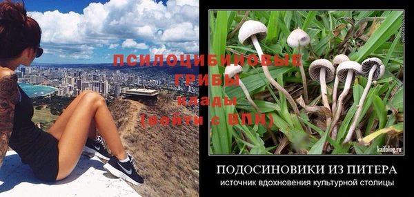 шишки Алексин