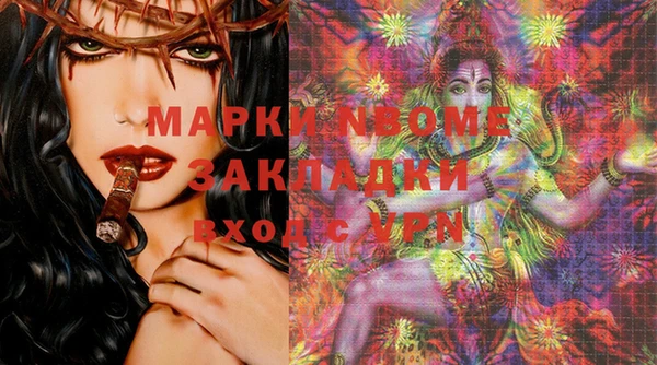 шишки Алексин